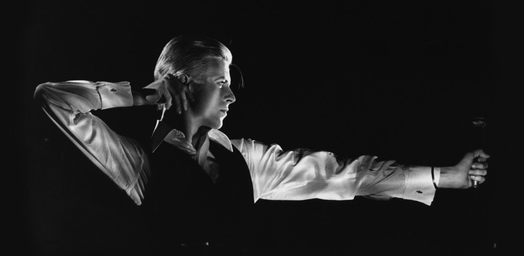 Bowie by Stella&nbsp;Pfahler