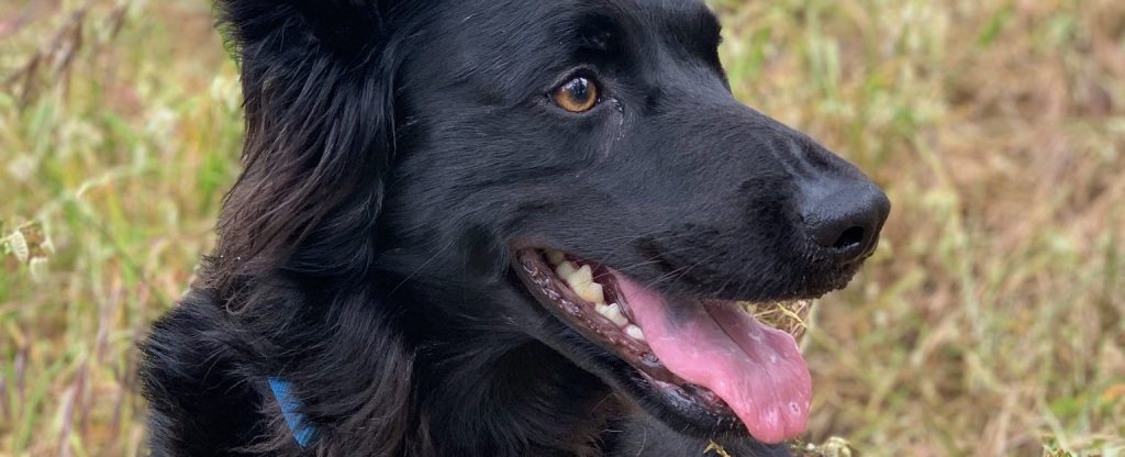 A Whole World Out There by Nadja&nbsp;Goldberg