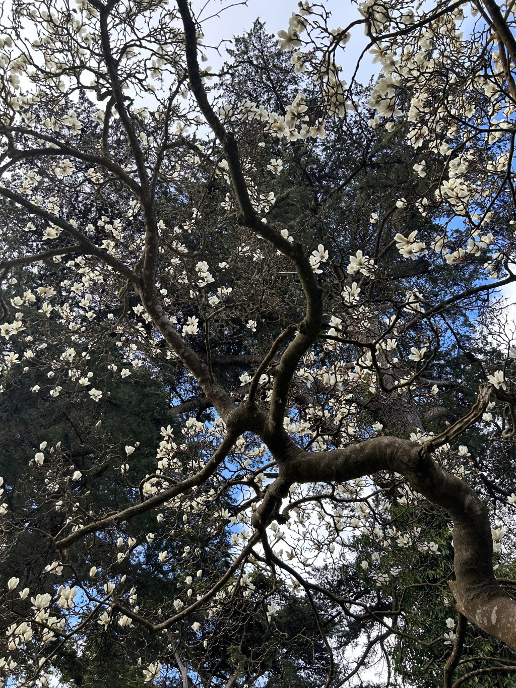 A Cure for Writer’s Block by Gabriel Flores&nbsp;Benard