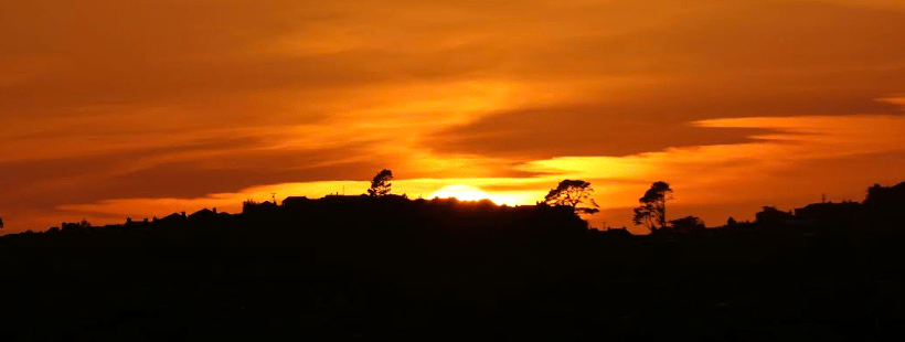 The CW Class of 2025 by Celeste&nbsp;Alisse